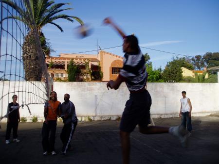 Volly-balle