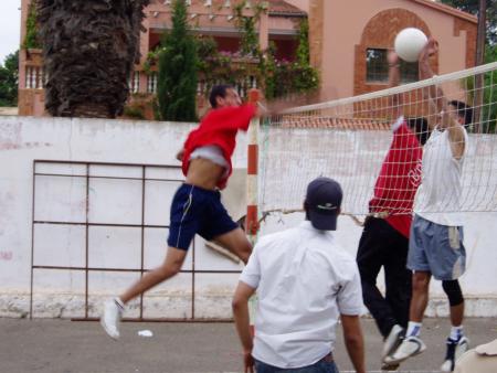 Volley Balll