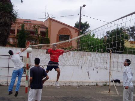 Volley Balll
