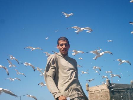 EL SAouIRA