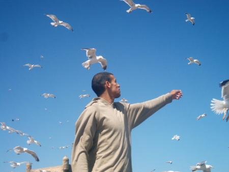 EL SAouIRA